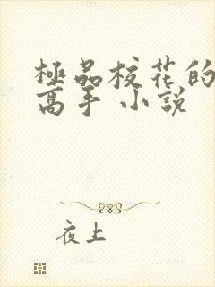 极品校花的贴身高手 小说