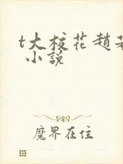 t大校花赵若芸 小说封面