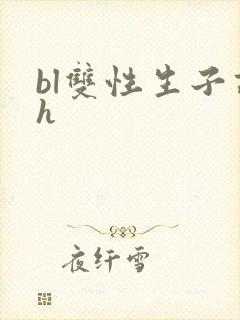 bl双性生子高h封面