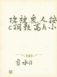 攻被众人按住狠c调教高h小说