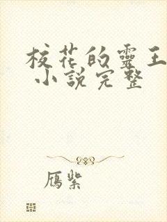 校花的灵王保镖 小说完整封面