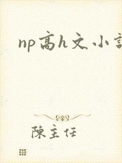 np高h文小说