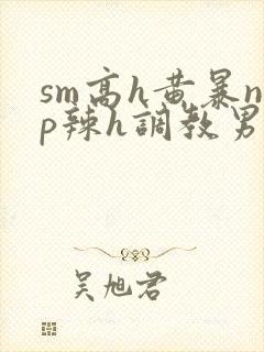 sm高h黄暴np辣h调教男奴封面