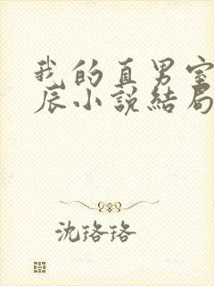 我的直男室友张辰小说结局