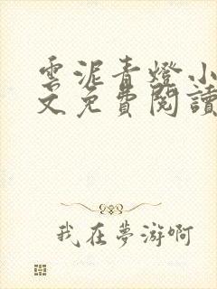 云泥青灯小说全文免费阅读无弹窗