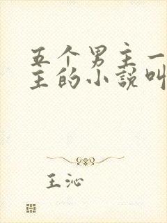 五个男主一个女主的小说叫什么