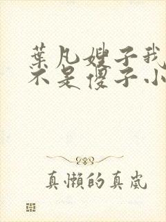 叶凡嫂子我真的不是傻子小说