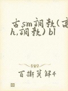 古sm调教(高h,调教) bl