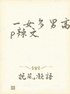 一女多男高hnp辣文