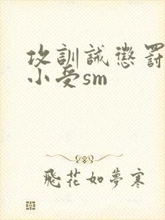 攻训诫惩罚调教小受sm