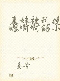 表妹被我摸的嗯嗯啊啊的小说