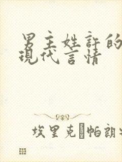 男主姓许的小说现代言情