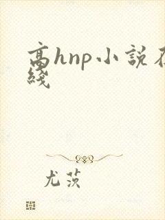 高hnp小说在线