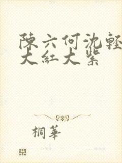陈六何沈轻舞 大红大紫