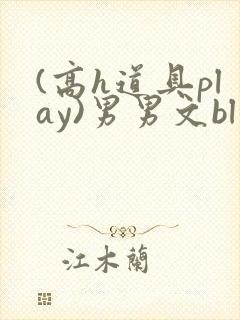 (高h道具play)男男文bl封面