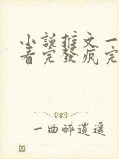 小说推文一口气看完发疯完结爽文