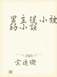 男主从小被调教的小说