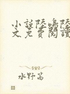 小说陆鸣陆瑶全文免费阅读封面