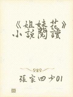 《姐妹花》陈刚小说阅读