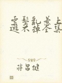 云鬓乱惹上权臣逃不掉全集阅读