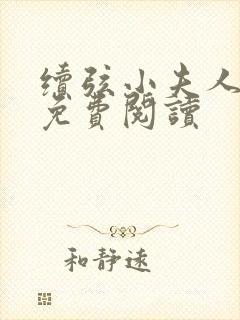 续弦小夫人全本免费阅读封面