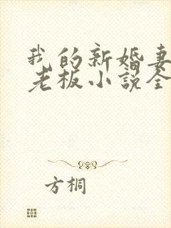 我的新婚妻子菜老板小说全文阅读