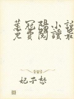 叶冠阳小说全文免费阅读最新章节