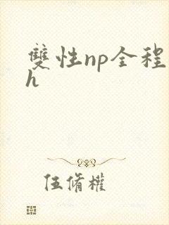 双性np全程高h封面