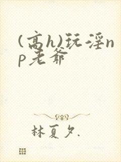 (高h)玩淫np老爷