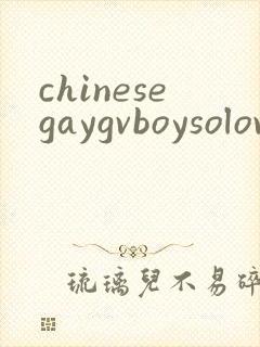 chinesegaygvboysolovideo