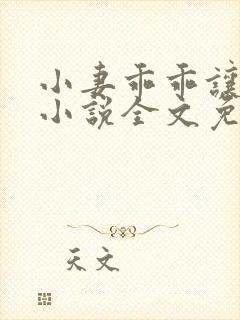 小妻乖乖让我宠小说全文免费阅读