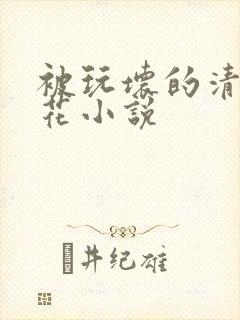 被玩坏的清纯校花小说