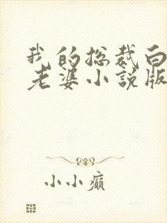 我的总裁白富美老婆小说版