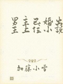 男主已婚出轨女主上位小说