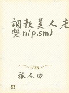 调教美人老师(双n/p,sm)