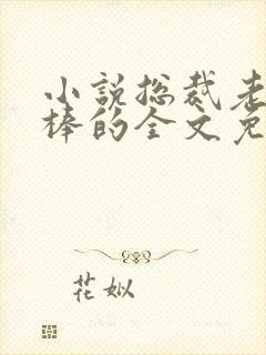 小说总裁老公超棒的全文免费阅读