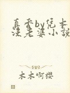 真香by凭本事没老婆小说免费阅读