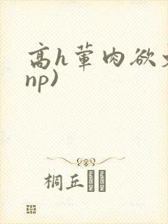 高h荤肉欲文(np)