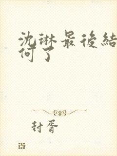 沈琳最后结局如何了封面