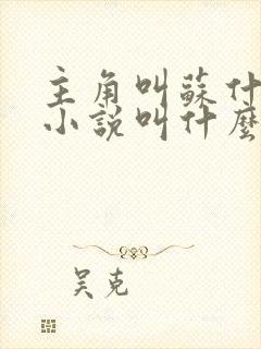 主角叫苏什么的小说叫什么