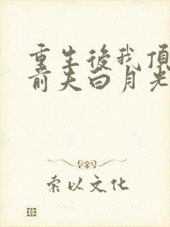 重生后我顶替了前夫白月光九九月著