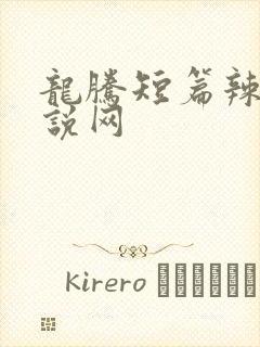 龙腾短篇辣文小说网