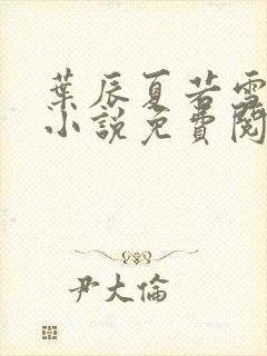 叶辰夏若雪孙怡小说免费阅读最新章节