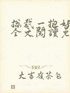 总裁一抱好喜欢全文阅读免费封面