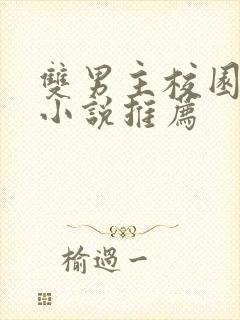 双男主校园甜宠小说推荐封面