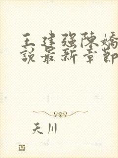 王建强陈娇娇小说最新章节