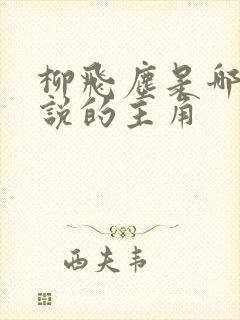 柳飞尘是哪部小说的主角