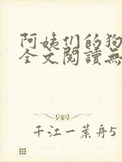 阿姨们的狗小说全文阅读无弹窗