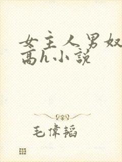 女主人男奴调教高h小说