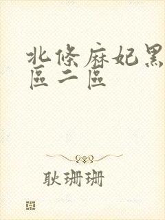 北条麻妃黑人一区二区封面